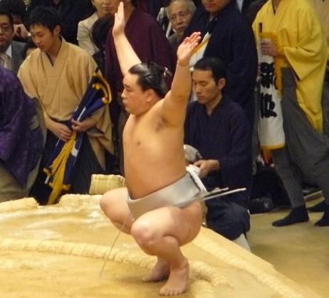 日馬富士