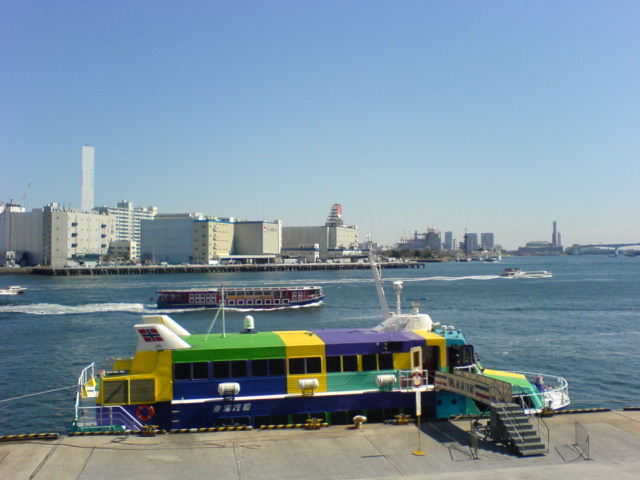 クルージング日和