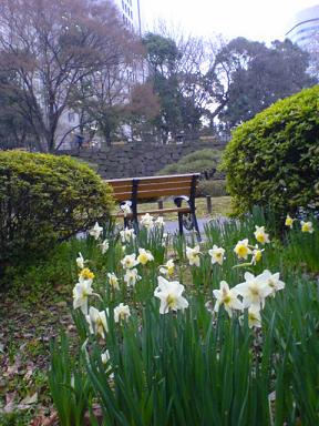 日比谷公園の春