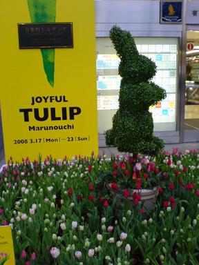 丸の内はチューリップ色