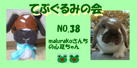 てぶぐるみの会38.JPG