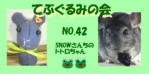 てぶぐるみの会42.JPG