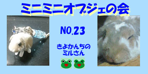 No23 きよかんちのミルさん.JPG