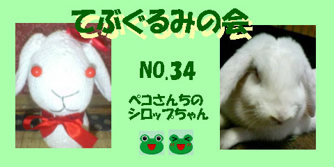 てぶぐるみの会34.JPG