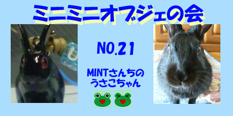 No21 MINTさんちのうさこちゃん.JPG