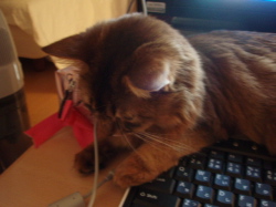 うふふふ.jpg