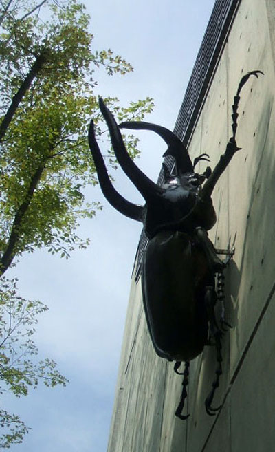 08042513[1].DSCF8986.JPG