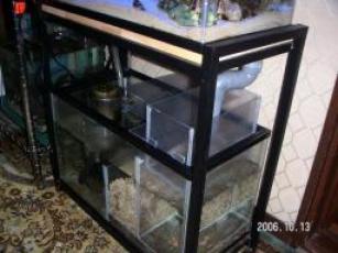 画像 水槽 006.jpg