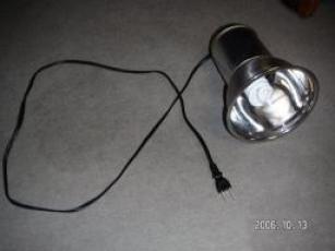 画像 水槽 007.jpg