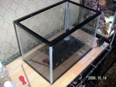 画像 水槽 009.jpg