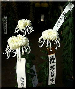 菊