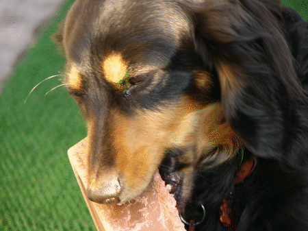 2007.1.29 3. 2gif.gif