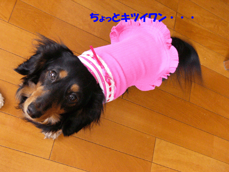 070315pinkdress.gif