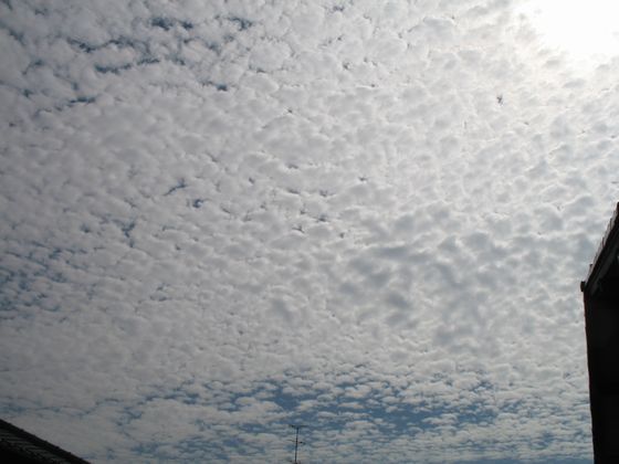 08/9/23の空１