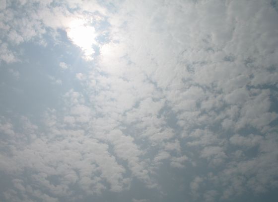 7/29の空５