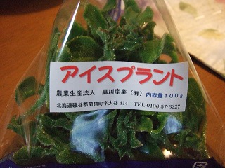 s-画像 297.jpg