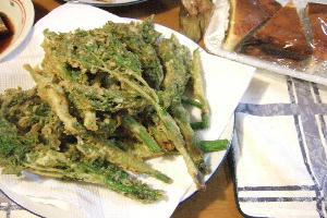 090512sansaikojaku.JPG