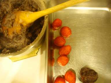 tedukuriichigodaihuku nakami