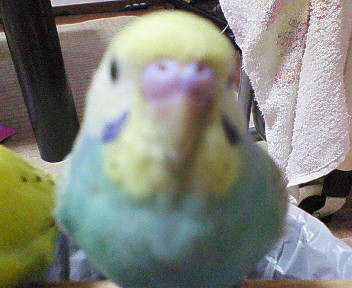 20070605-3.JPG