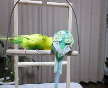 ジャスミン＆ハーブ 002.jpg