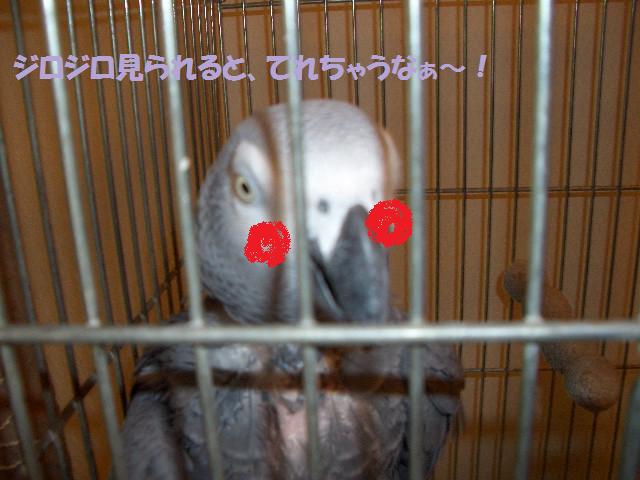 ヨウちゃん.jpg