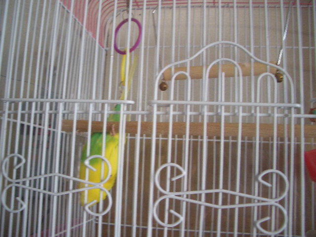 くるりんぱ 008.jpg