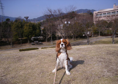 公園3.jpg