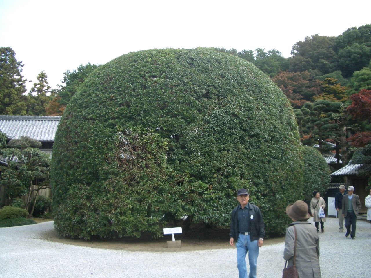 asou3