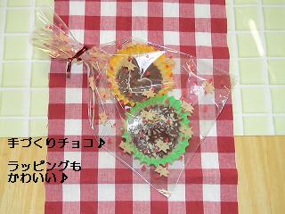 2009-02-14チョコ２