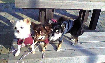 どこ見てるの？