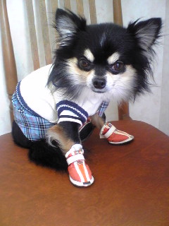 記念撮影ボビー