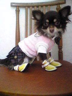 記念撮影ショコラ