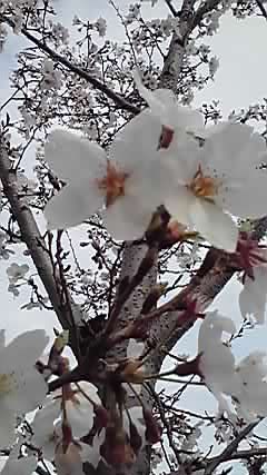2010-04-12 21:41:47