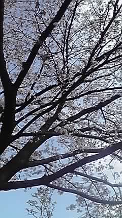 2010-04-12 21:41:47