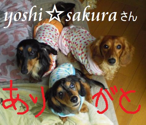 yoshi☆sakuraさんありがとぅ♪