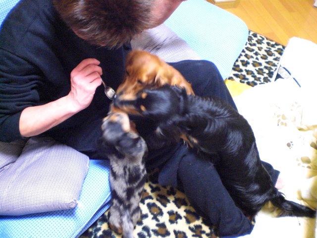 がっつきすぎ！