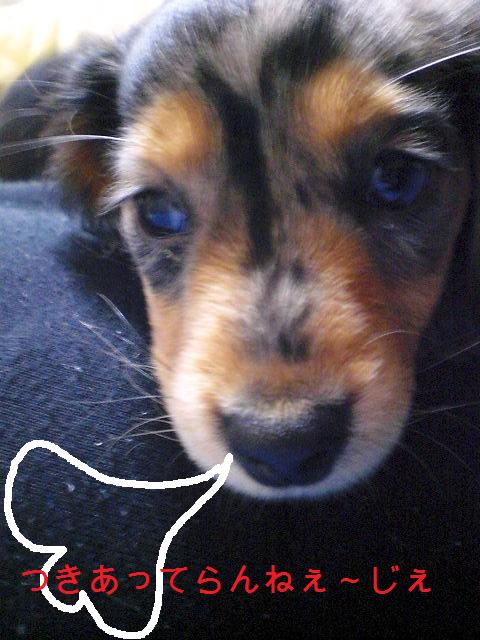 そんなの関係ねぇ