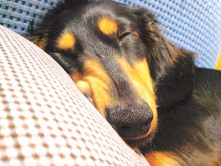 つぶれてますケド・・・(笑)