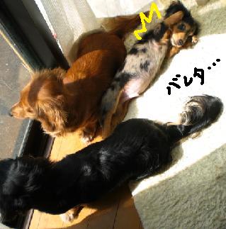 アイコンタクト・・・？？