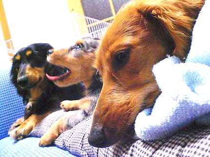 あくびショット３