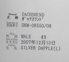 ウィルの血統書☆