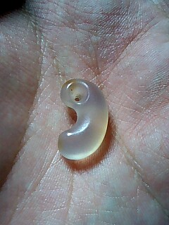 090228_2206~0001.jpg