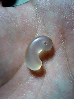 090228_2206~0002.jpg