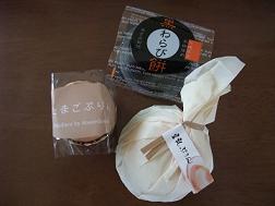 2008_0701花材0007.JPG
