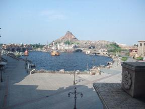 2008_0803花材0045.JPG