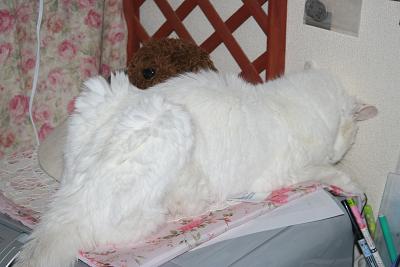 シロ大ばあさん