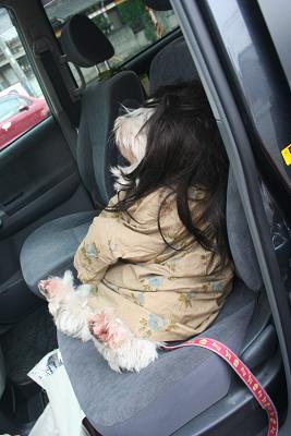 車のふぁんちゃん