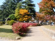 10月21日県の森２
