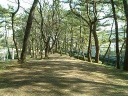 本牧市民公園６.JPG