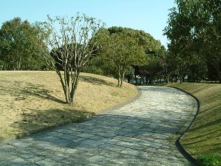 本牧市民公園４.JPG